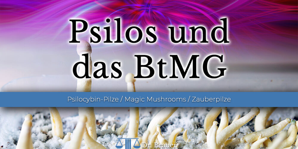 Psilocybin-Pilze / Magic Mushrooms – Verstoß gegen das BtMG