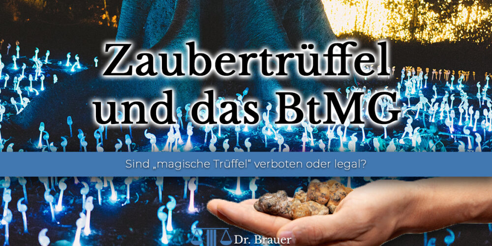 Sind Zaubertrüffel in Deutschland legal? Verstoß gegen das BtMG