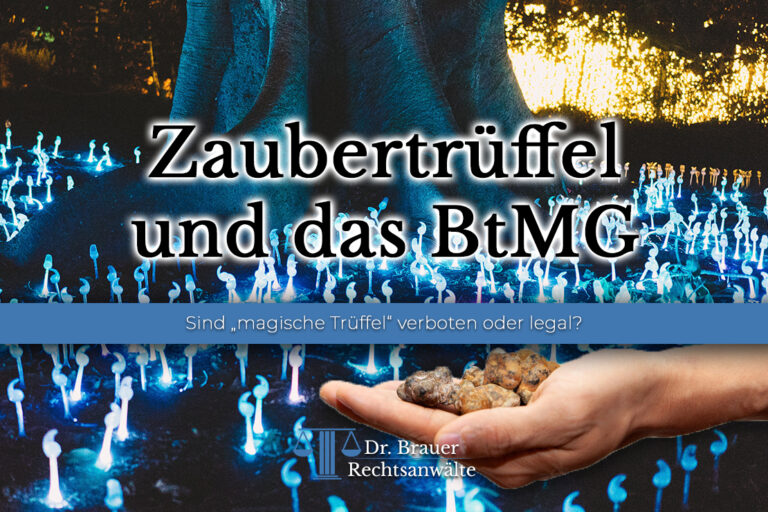 Sind Zaubertrüffel in Deutschland legal? Verstoß gegen das BtMG
