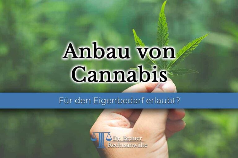 Anbau von Cannabis in Deutschland