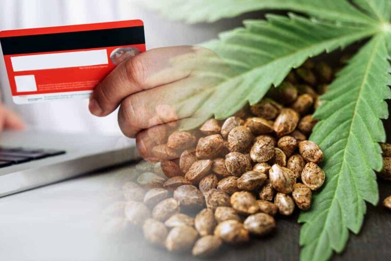 Cannabis Samen Sparkasse