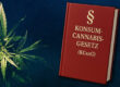 Anzeige wegen § 34 KCanG – Welche Strafen drohen nach dem Konsumcannabisgesetz?
