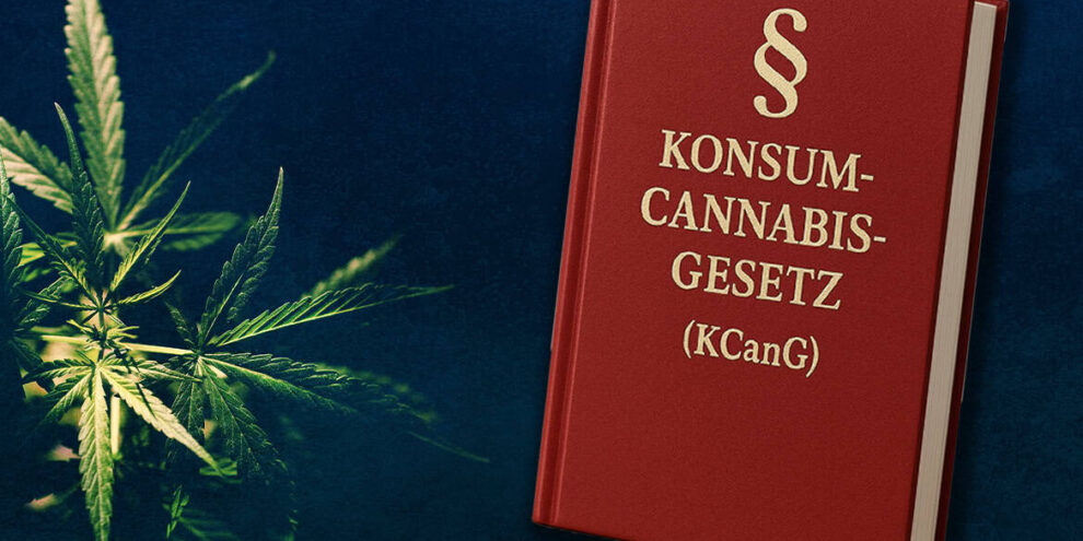 Anzeige wegen § 34 KCanG – Welche Strafen drohen nach dem Konsumcannabisgesetz?
