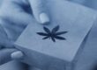 Handel mit Cannabis – Verbot, Strafen & Strafverteidigung