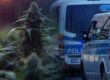Hausdurchsuchung wegen Cannabis – Ihre Rechte & Verhaltenstipps